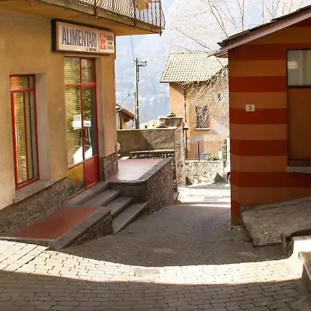 L'aquila *